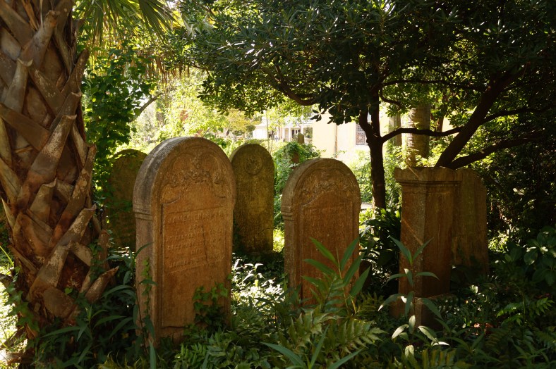 A beautiful cemetery and garden in the heart of Charleston.