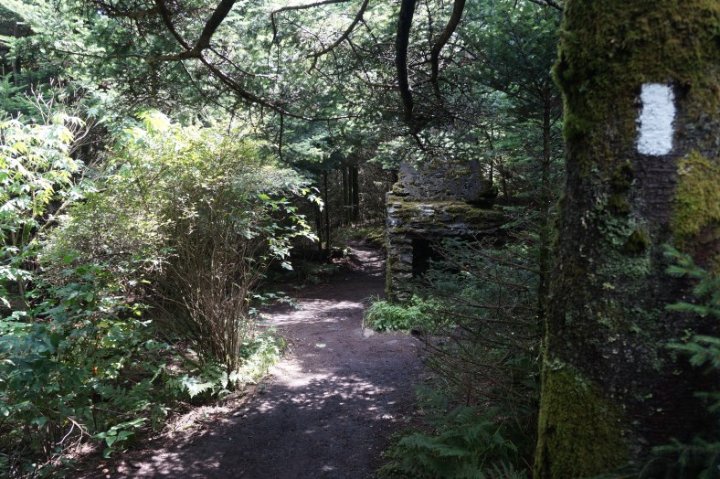 An old stop on the trail, now all that remains is the chimney. 